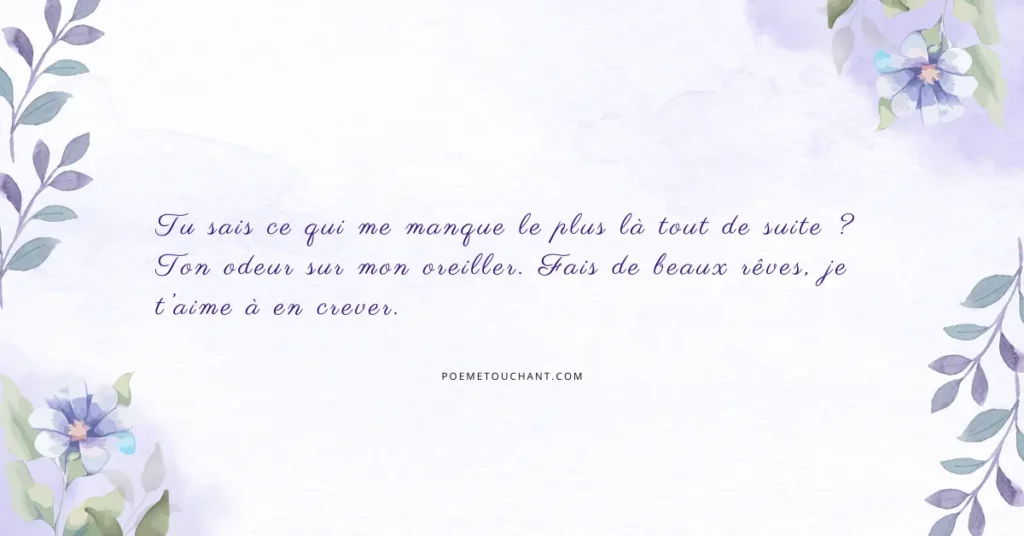 Petit SMS de bonne nuit qui fait craquer